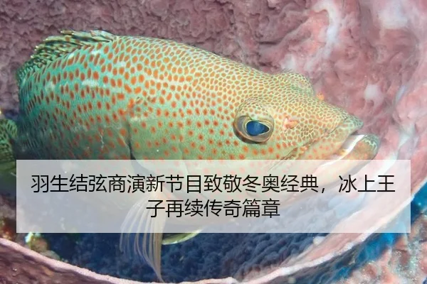 羽生结弦商演新节目致敬冬奥经典，冰上王子再续传奇篇章