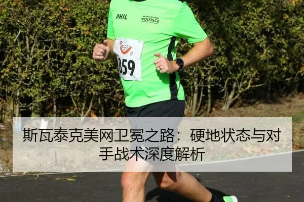 si-wa-tai-ke-mei-wang-wei-mian-zhi-lu-ying-di-zhuang-tai-yu-dui-shou-zhan-shu-shen-du-jie-xi-3-396.jpg
