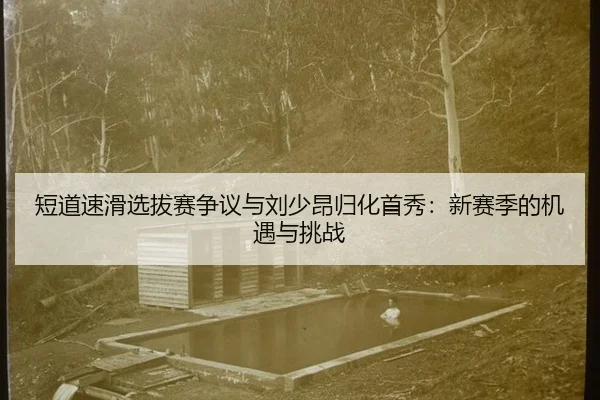 duan-dao-su-hua-xuan-ba-sai-zheng-yi-yu-liu-shao-ang-gui-hua-shou-xiu-xin-sai-ji-de-ji-yu-yu-tiao-zhan-2-603.jpg